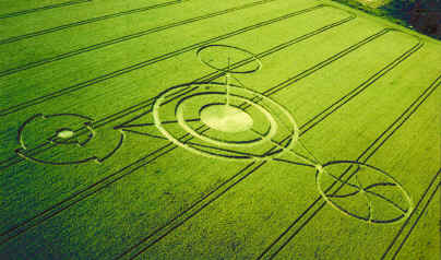 The Barbury Castle Pictogram. 17/7/91. C. 1991. Richard Wintle/Calyx Photo Services