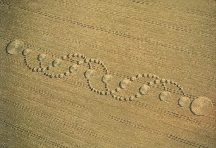 The "DNA formation", East field, Alton barnes, Wilts, UK. 17/6/96. C. 1996. Steve Alexander