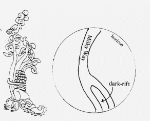 Crocodile Tree as dark rift; Maya Cosmogenesis 2012. C. 1998. J. M. Jenkins