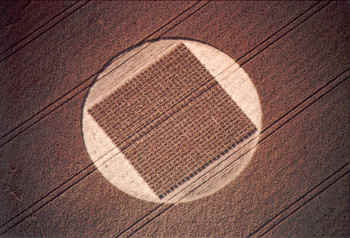 The Etchilhampton Grid, or "Boustrophedon Grid". 8/9 August 97, Etchilhampton, Wilts, UK. C. 1997. Steve Alexander