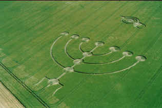 Barbury Castle, Wiltshire, UK 31/5/99. C. 1999 Steve Alexander